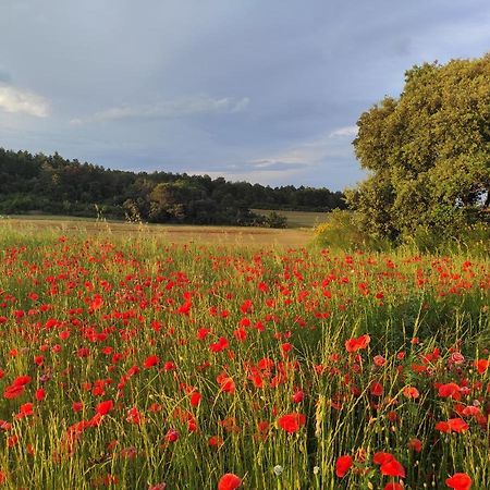 Gite A La Campagne, Proche Carcassonne Alairac Luaran gambar