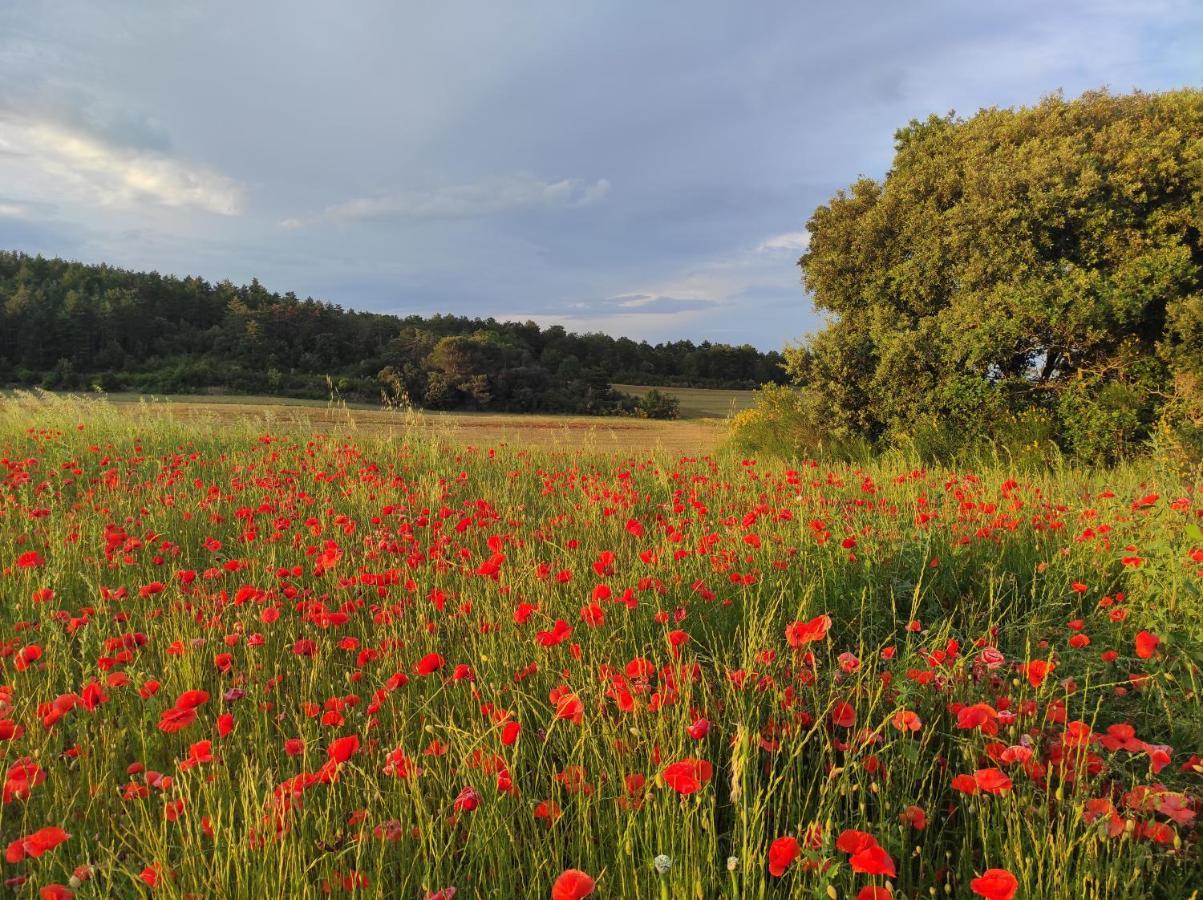 Gite A La Campagne, Proche Carcassonne Alairac Luaran gambar